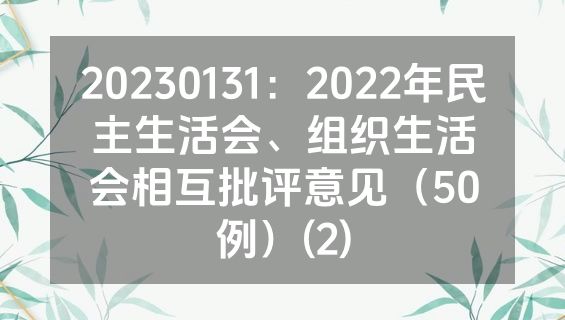 20230131：2022年民主生活会、组织生活会相互批评意见（50例）(2)