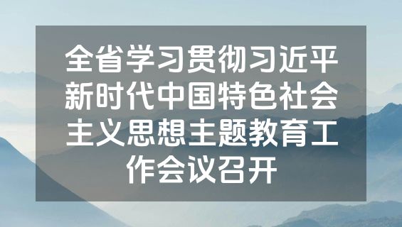 全省学习贯彻习近平新时代中国特色社会主义思想主题教育工作会议召开