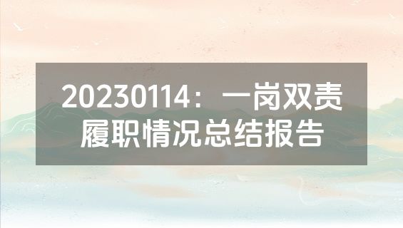 20230114：一岗双责履职情况总结报告
