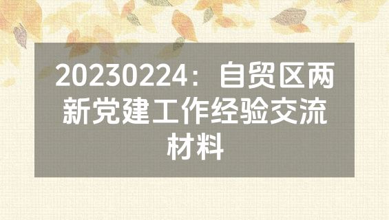 20230224：自贸区两新党建工作经验交流材料