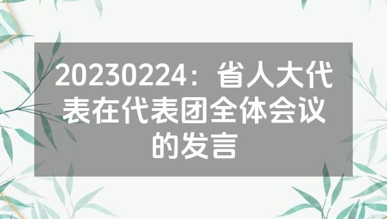 20230224：省人大代表在代表团全体会议的发言