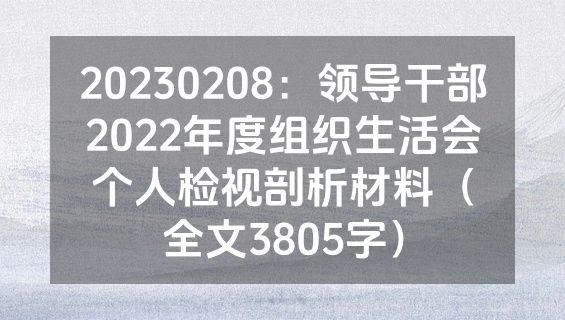 20230208：领导干部2022年度组织生活会个人检视剖析材料（全文3805字）