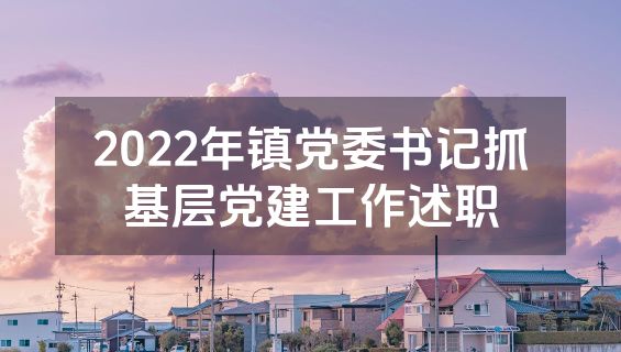 2022年镇党委书记抓基层党建工作述职