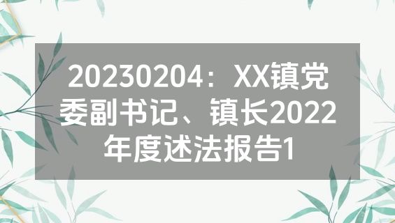 20230204：XX镇党委副书记、镇长2022年度述法报告1