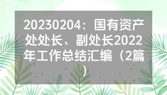 20230204：国有资产处处长、副处长2022年工作总结汇编（2篇）