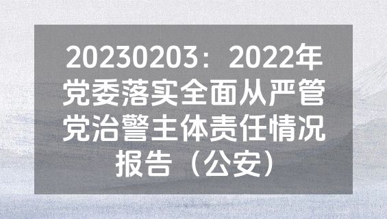 20230203：2022年党委落实全面从严管党治警主体责任情况报告（公安）