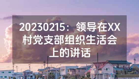 20230215：领导在XX村党支部组织生活会上的讲话