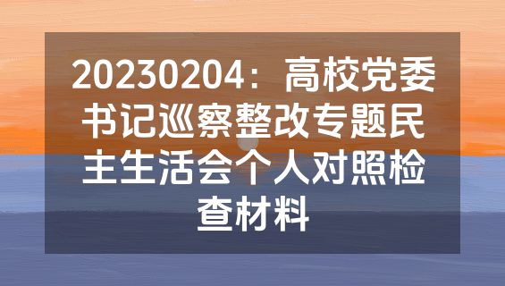 20230204：高校党委书记巡察整改专题民主生活会个人对照检查材料