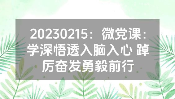 20230215：微党课：学深悟透入脑入心 踔厉奋发勇毅前行