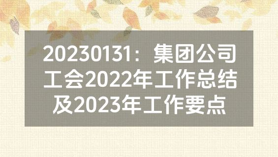 20230131：集团公司工会2022年工作总结及2023年工作要点