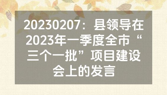 20230207：县领导在2023年一季度全市“三个一批”项目建设会上的发言
