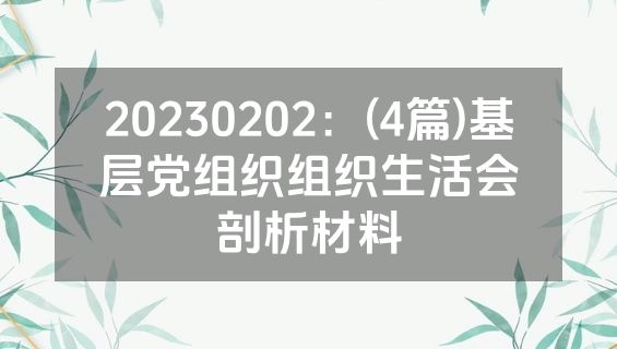 20230202：(4篇)基层党组织组织生活会剖析材料
