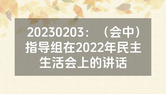 20230203：（会中）指导组在2022年民主生活会上的讲话