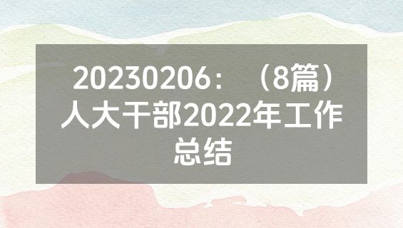 20230206：（8篇）人大干部2022年工作总结