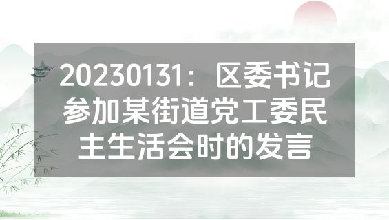 20230131：区委书记参加某街道党工委民主生活会时的发言