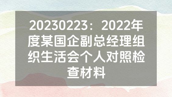 20230223：2022年度某国企副总经理组织生活会个人对照检查材料
