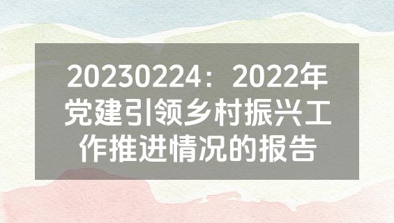 20230224：2022年党建引领乡村振兴工作推进情况的报告