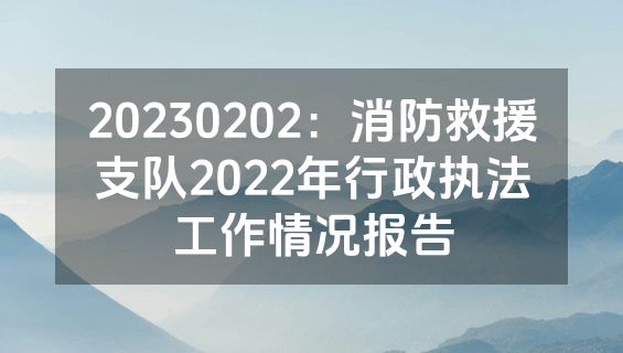20230202：消防救援支队2022年行政执法工作情况报告