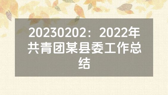 20230202：2022年共青团某县委工作总结
