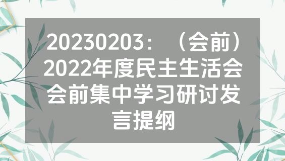 20230203：（会前）2022年度民主生活会会前集中学习研讨发言提纲