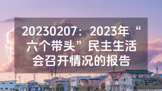20230207：2023年“六个带头”民主生活会召开情况的报告