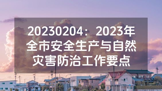 20230204：2023年全市安全生产与自然灾害防治工作要点