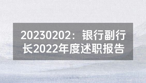 20230202：银行副行长2022年度述职报告