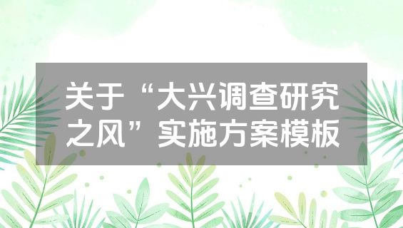 关于“大兴调查研究之风”实施方案模板