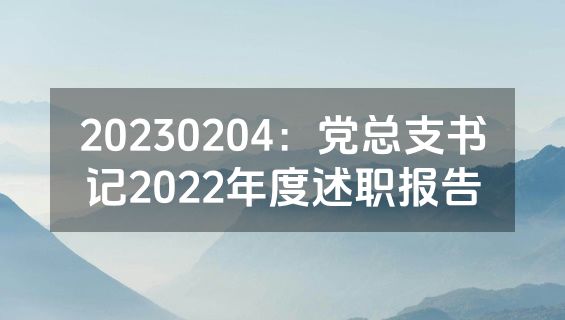 20230204：党总支书记2022年度述职报告