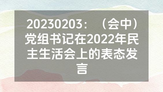 20230203：（会中）党组书记在2022年民主生活会上的表态发言
