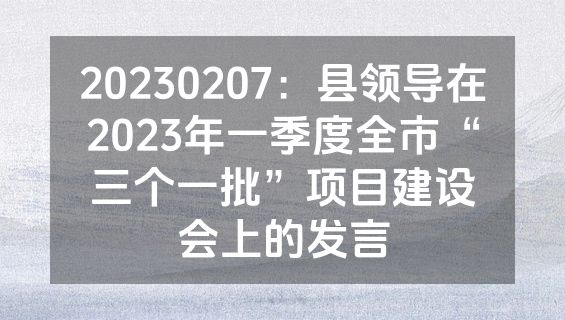 20230207：县领导在2023年一季度全市“三个一批”项目建设会上的发言