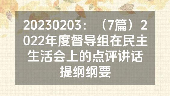 20230203：（7篇）2022年度督导组在民主生活会上的点评讲话提纲纲要