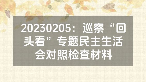 20230205：巡察“回头看”专题民主生活会对照检查材料