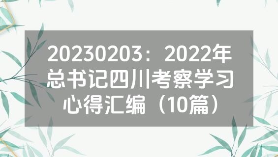 20230203：2022年总书记四川考察学习心得汇编（10篇）