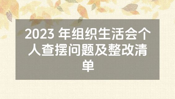 2023 年组织生活会个人查摆问题及整改清单