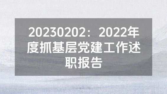 20230202：2022年度抓基层党建工作述职报告