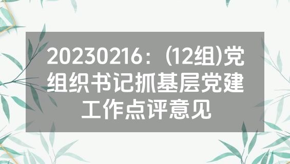 20230216：(12组)党组织书记抓基层党建工作点评意见
