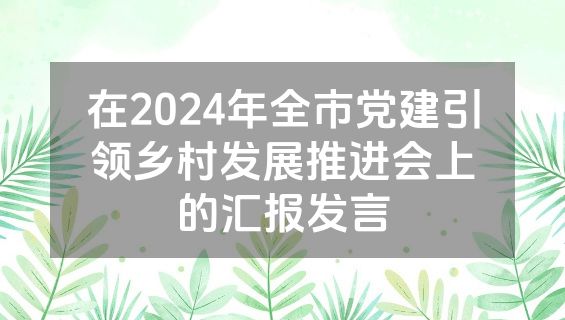 在2024年全市党建引领乡村发展推进会上的汇报发言