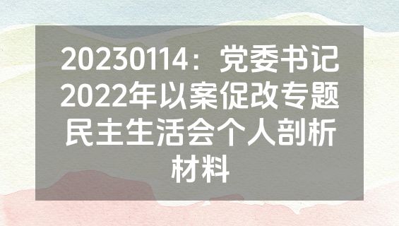 20230114：党委书记2022年以案促改专题民主生活会个人剖析材料