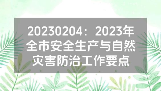 20230204：2023年全市安全生产与自然灾害防治工作要点