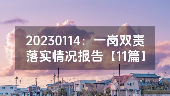 20230114：一岗双责落实情况报告【11篇】