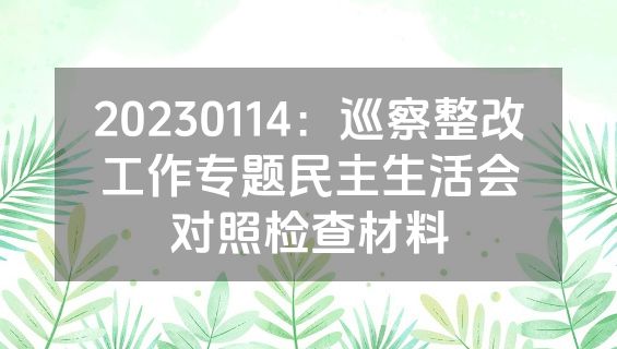 20230114：巡察整改工作专题民主生活会对照检查材料