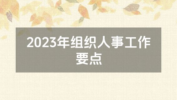2023年组织人事工作要点