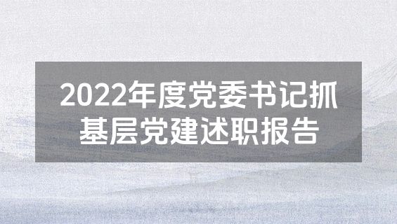 2022年度党委书记抓基层党建述职报告