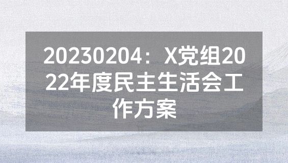 20230204：X党组2022年度民主生活会工作方案