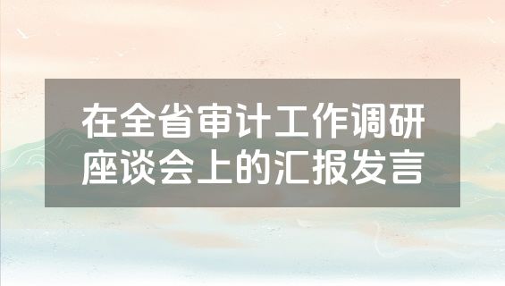 在全省审计工作调研座谈会上的汇报发言