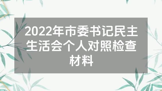 2022年市委书记民主生活会个人对照检查材料