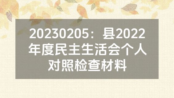 20230205：县2022年度民主生活会个人对照检查材料