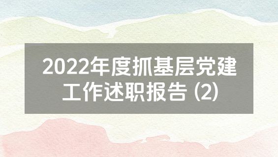 2022年度抓基层党建工作述职报告 (2)