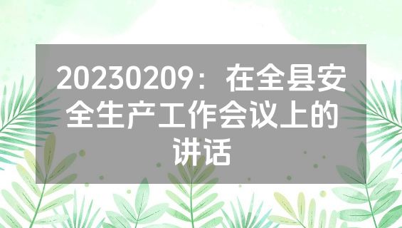 20230209：在全县安全生产工作会议上的讲话